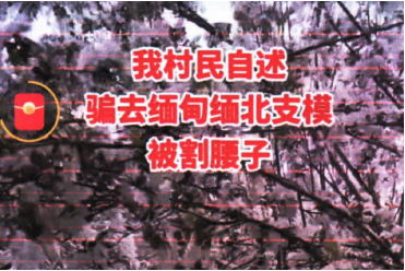 1702005842578076.png 云南2.png